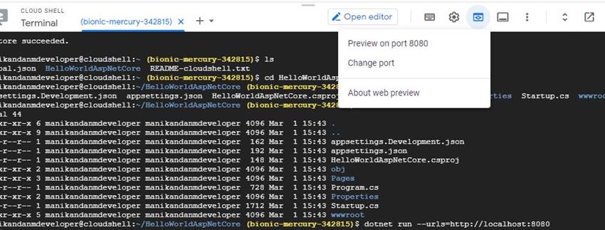 Building and Launching an ASP.NET Core App from Google Cloud Shell